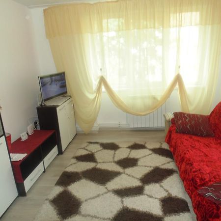 Lary Apartament 苏恰瓦 外观 照片