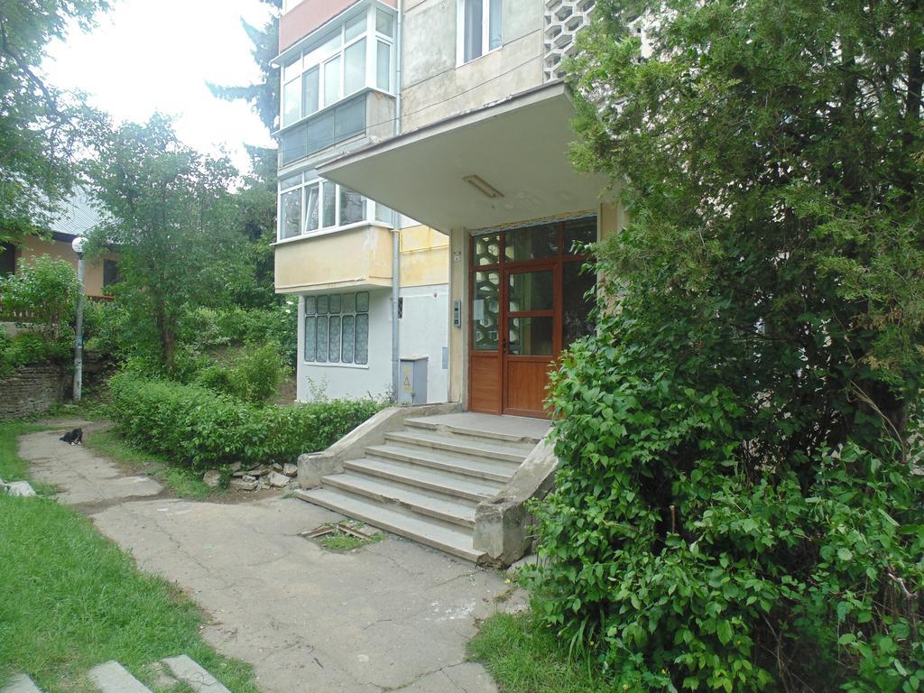 Lary Apartament 苏恰瓦 客房 照片