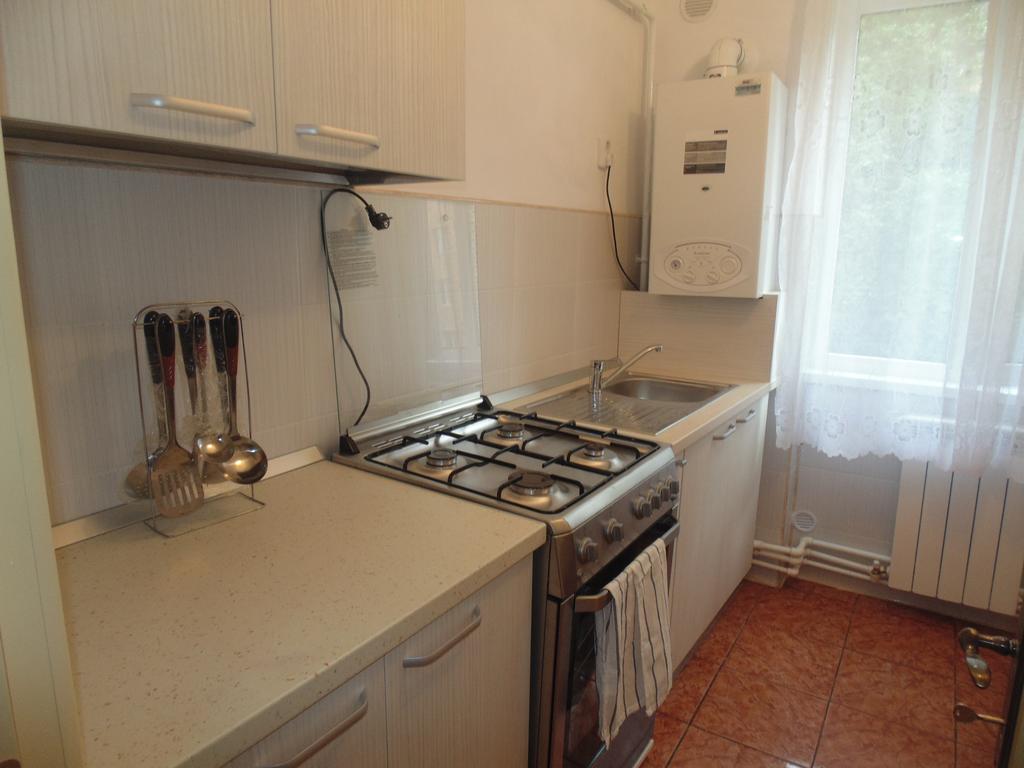 Lary Apartament 苏恰瓦 客房 照片